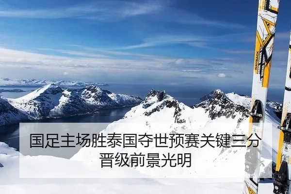 国足主场胜泰国夺世预赛关键三分 晋级前景光明