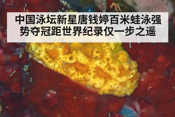中国泳坛新星唐钱婷百米蛙泳强势夺冠距世界纪录仅一步之遥
